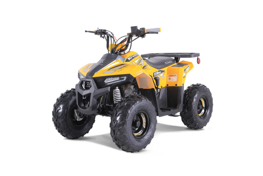 Taomotor 2022 Mudhawk 6 110cc ATV